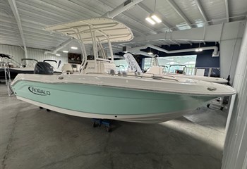 2026 Robalo R200 Seafoam/White Boat